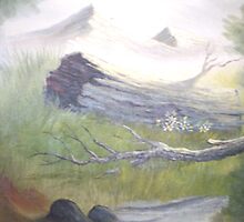 Old tree by Angel Ruiz