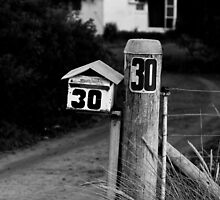 The 30 Thirty by Ollieography