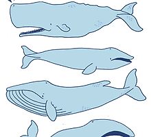 Whales by ShakeyIllustra