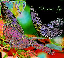 Dream Big by Bonnie T. Barry