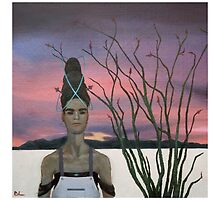 Henrietta and the Ocotillo by BorisLarimer