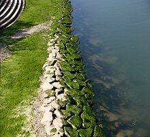 Hiroshima park by Kyra Webb