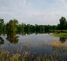 The river extended 2 by Jim Caldwell