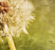 Wishful Thinking by Lois Bryan