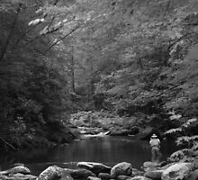 trout fishing in the smokies by Christopher Ewing