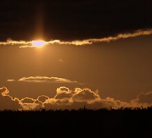 Breaking Through... by Ann Rodriquez