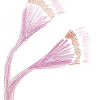 Flowering Gum - Inspired by KazM