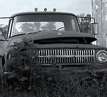 Old International by Ann Rodriquez