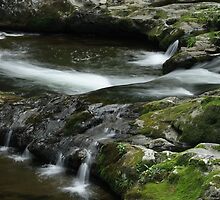 Different Paths by Gary L Suddath