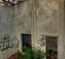 Solitary Confinement? by Mark Snelson