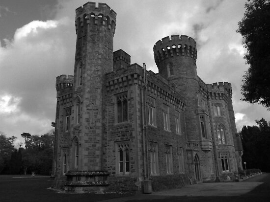 Wexford castle by John Quinn | ...