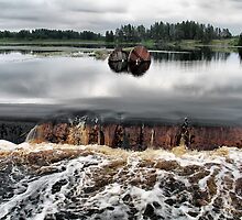 From Stillness to Wilderness by Teresa Zieba