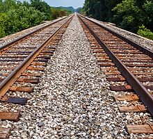 Twin Tracks by Kenneth Keifer