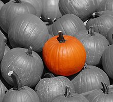 Perfect Pumpkin by Kozmo