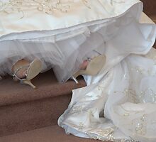 Sparkles and Frills by Ann Rodriquez