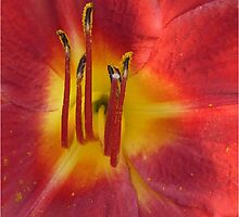 Lillies Paintbrushes by Mystic Raven 9