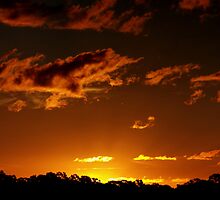 Slipping Away by Tainia Finlay