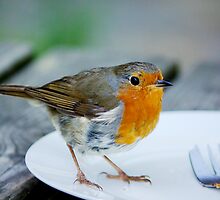 Who ate all the pies? by M G Pettett