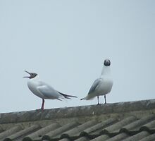 Don't Shout At Me by pat oubridge