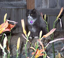 Hunter Cat by Valerie