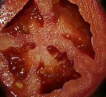 A Juicy Slice of Life by picketty