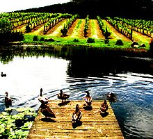 The Amazing Taste Of A Winery Tasting by Lissandra Leite