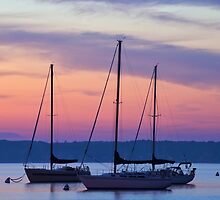 Safe Harbor by Mike Griffiths
