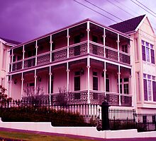 Purple Patch by JohnArnold
