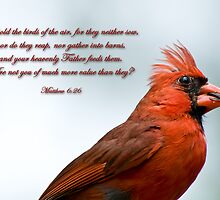 Behold the birds of the air . . . by Bonnie T. Barry