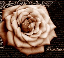 Reminiscing... by Holly Kempe
