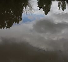 Heavenly Reflections by Jonathan Bartlett