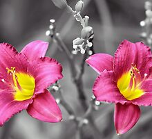 florecita rockera 10 by tuetano