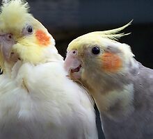 Buddies For Ever by Alex France