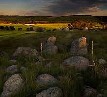 Wired by John Pitman