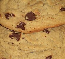 Cookies for Jan Snows Party by Michelle BarlondSmith