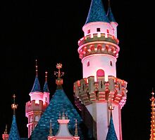 Where dreams come true by disneygirl14