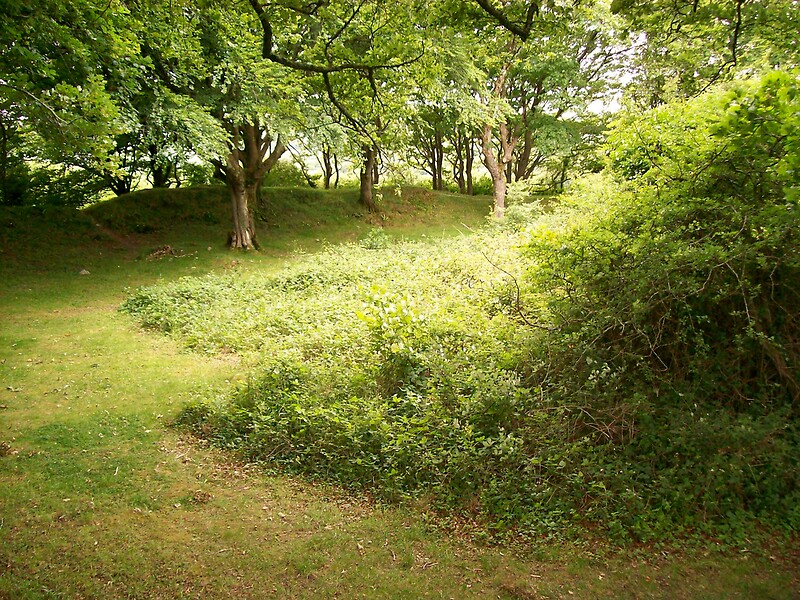 "Fairy Fort Clare, Ireland" by patriciamccoy Redbubble