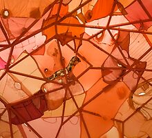 orange patchwork by dominiquelandau