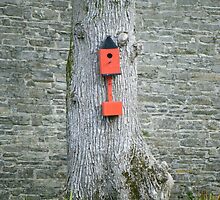 Anyone home? by Connie Danaher