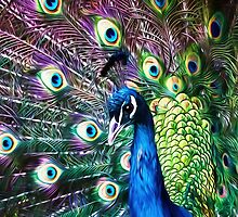 Peacock With Pizazz by Susie Peek