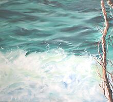 Noosa Waters by gunnelau