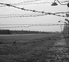 Auschwitz Birkenau by justineb