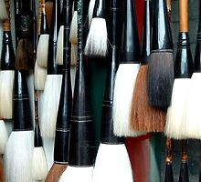 Brushes by ozecard