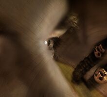 the hand of fate by eric abrahamowicz