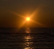 New day-New beginnings-New hope by cherylc1