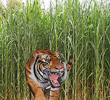 The Tiger 2 by Epeaches