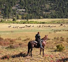 Way out West by JLDunn