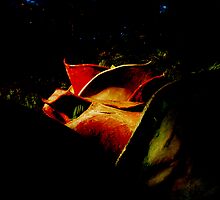 Hidden Treasure by Barbara Gerstner