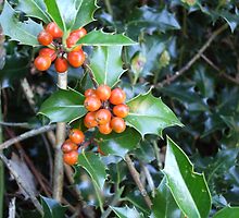 Merry Berries by Charming