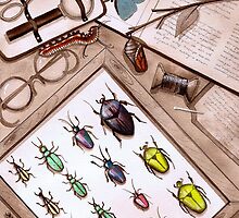 Insect Collector by Vicky Pratt